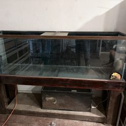 Reptile Or Fish Tank