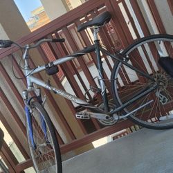 Trek Bike 