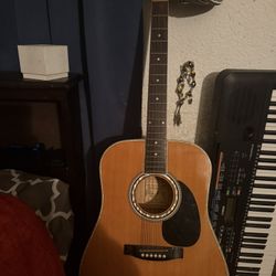 Esteban Acoustic Guitar 🎸 