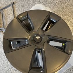 Tesla hubcaps 2022 model three