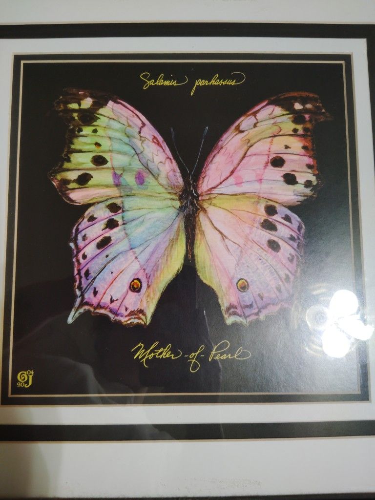 "Pink Monarch Elegance" Photos In Frames