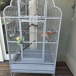 Bird Cages And Stand