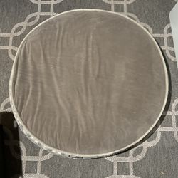 Large Dog Bed And Blue Harness