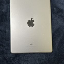 Apple ipad 