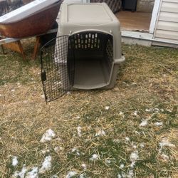 Dog kennel