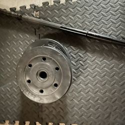 2 10 lbs plates with bar