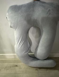 Free Pregnancy Pillow