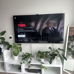 TV 75in (Samsung)