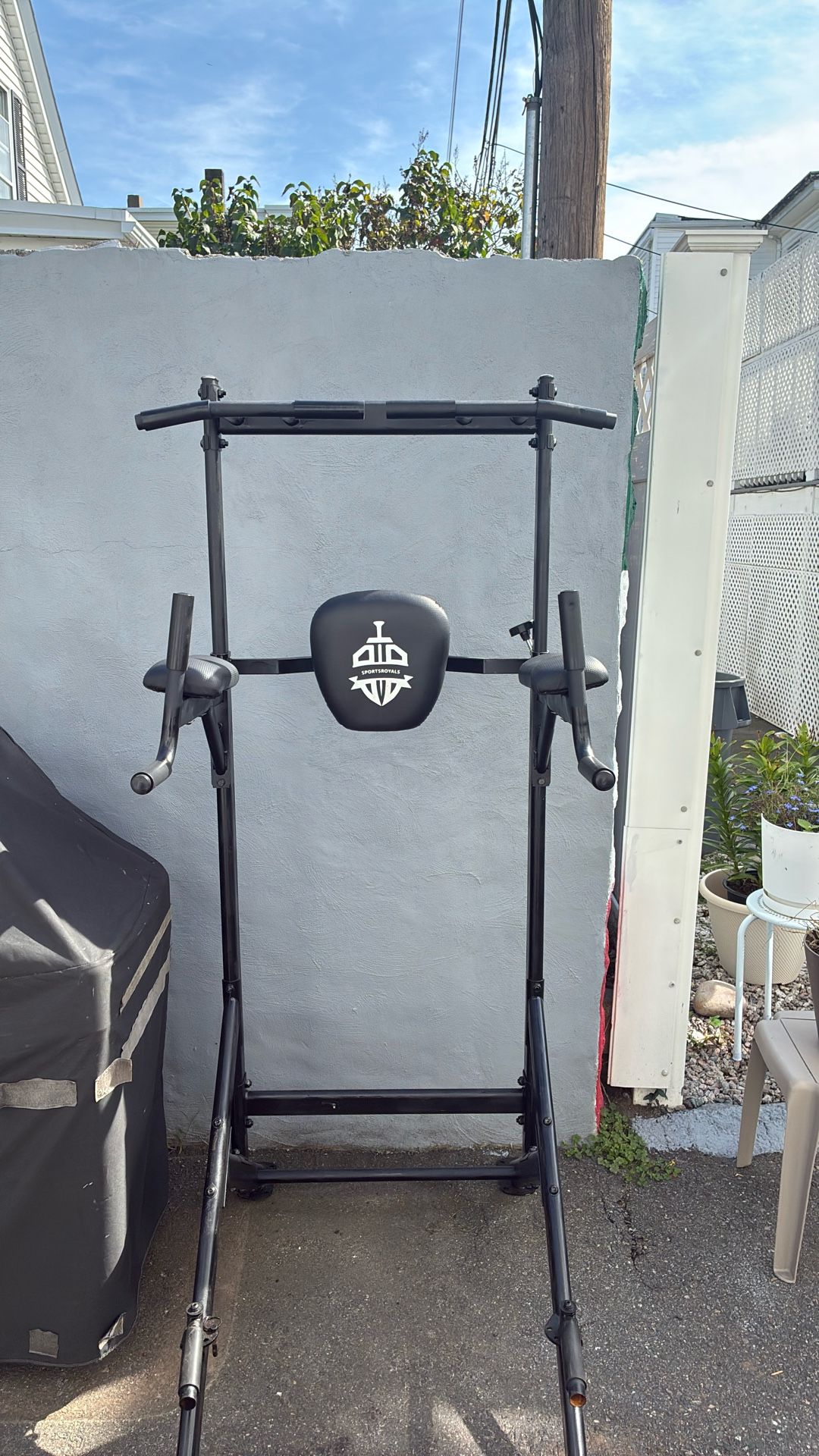 Sports Royals Pull Up Bar