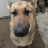 Doug