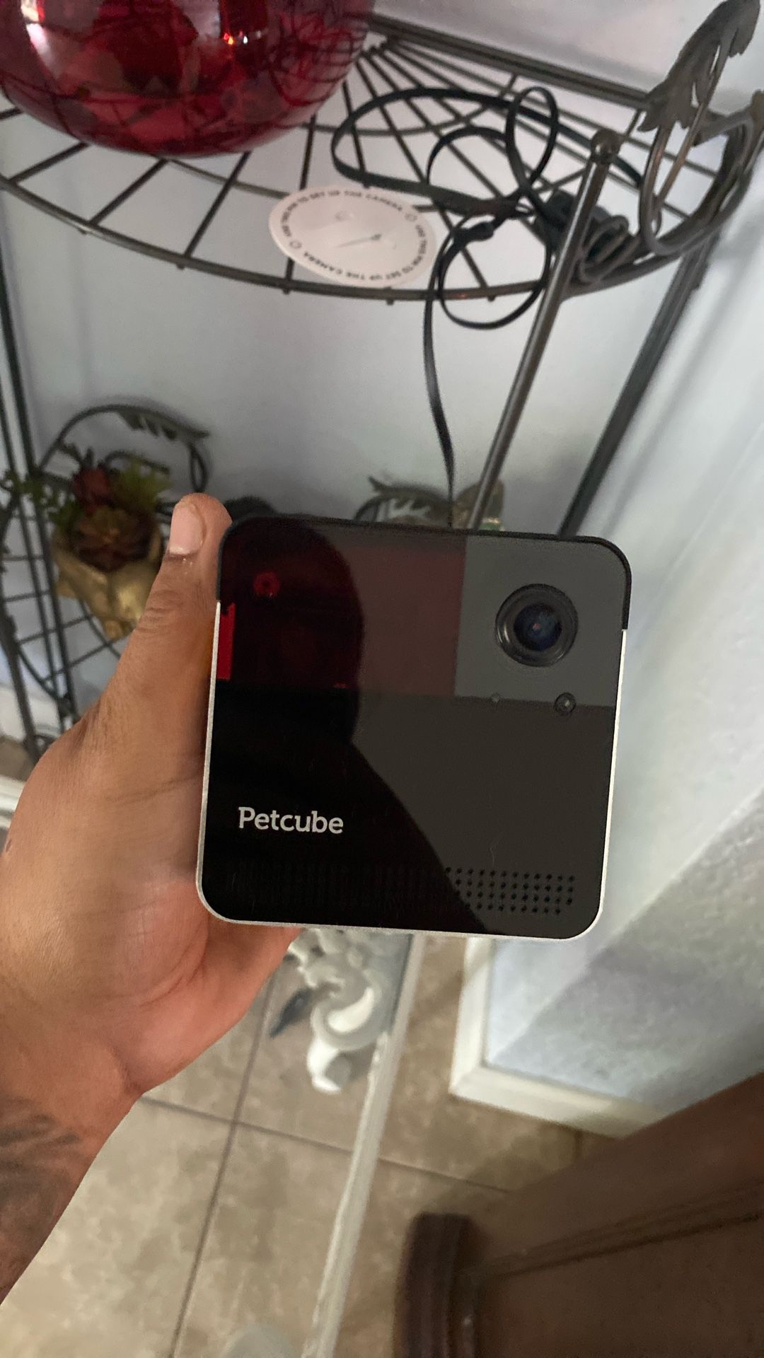 Pet Cube Camera