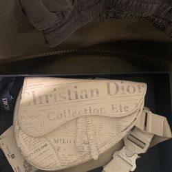 AUTHENTIC Dior X Asham Saddle bag