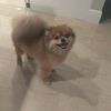 Hey