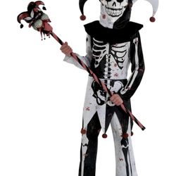 Menacing Jester Circus Clown Suit Yourself Fancy Dress Halloween Child Costume