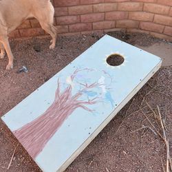 Cornhole/ Bags Set Up