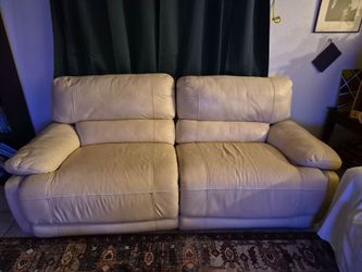 Electric Leather LoveSeat (Legget&Platt)