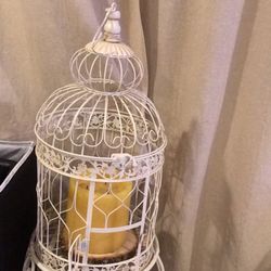 Bird cage
