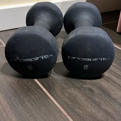 Pair Of 8 Lb Dumbbells 