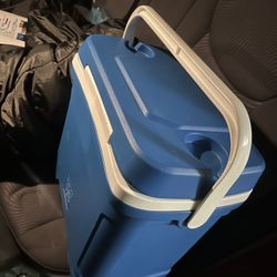 Igloo Cooler