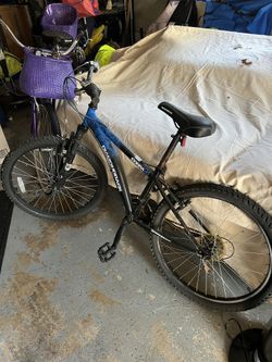 Diamondback Cobra Bicycle Teenage Bike Frame