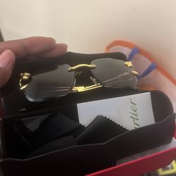 Cartier Glasses 