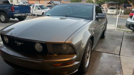 2005 Ford Mustang - GT Convertible 2D