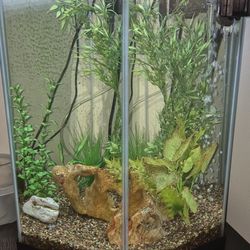  Aquarium 