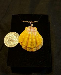 Sunrise necklace w/ 14k chain