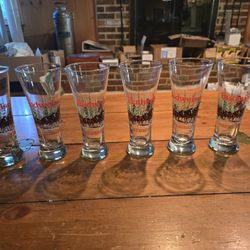 Set Of 6 Budweiser Clydesdale Pilsners 