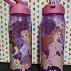 Disney Zak Water Bottles 2 For $6 