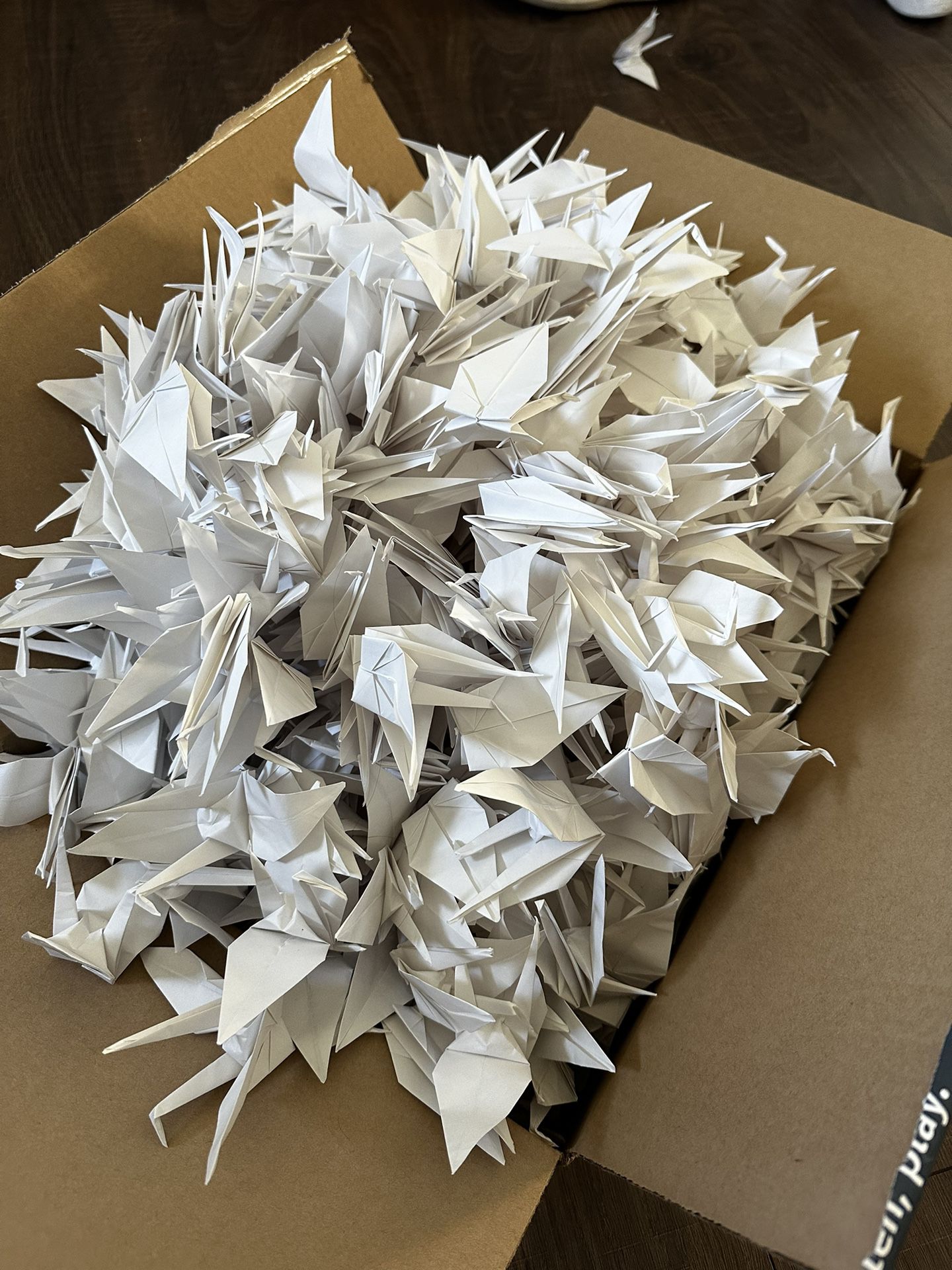 Few Hundred White Paper Cranes