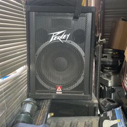 2 Peavey Speakers