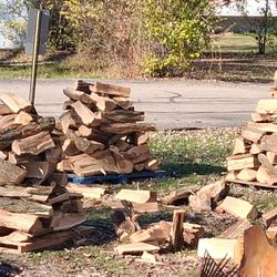 Split in seasoned black lotus firewood also have red maple and oak