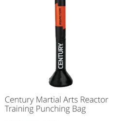 Century Reactor Punching And Kicking 