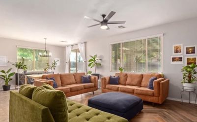 Suede couches