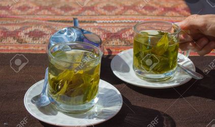 Coca leaves tea bags