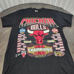Vintage Chicago Bulls 6 Peat T-shirt/Michael Jordan 