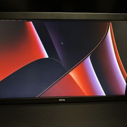 Benq Monitor 