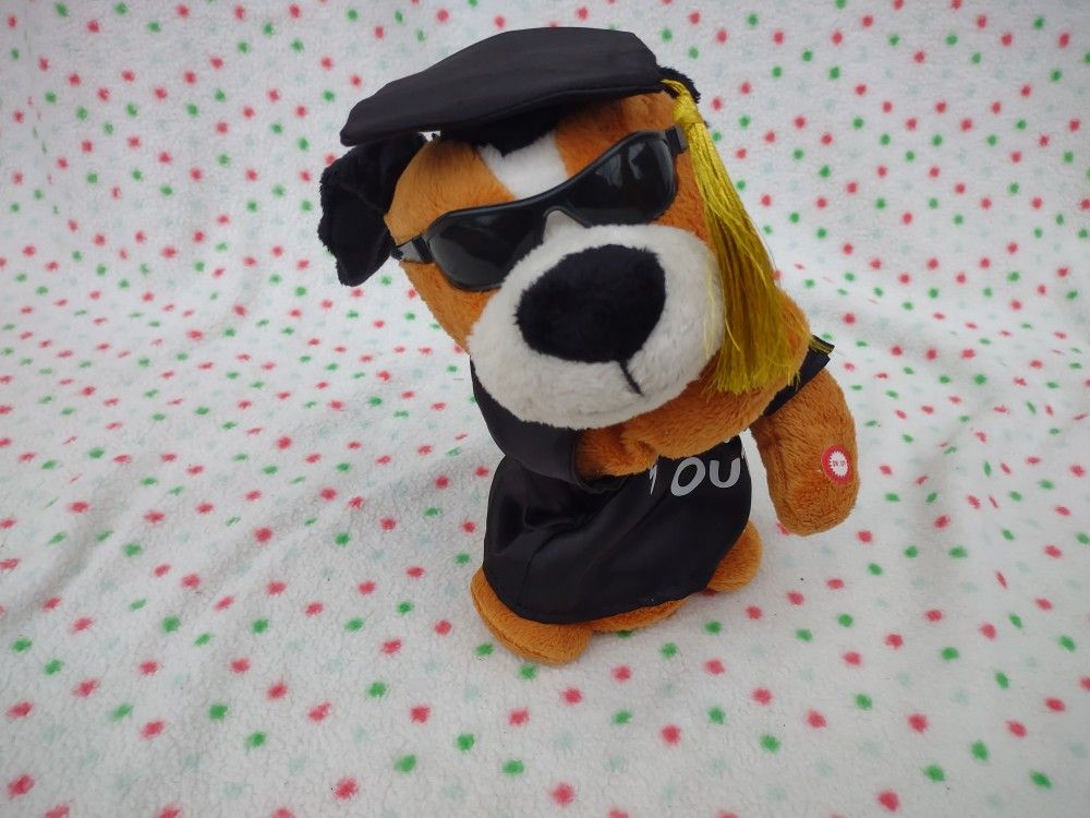 Graduation Schools Out Dancing & Singing Dog Celebration Song Kids America Corp