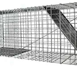 LIVE animal trap