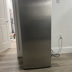 Stand Up Deep Freezer 