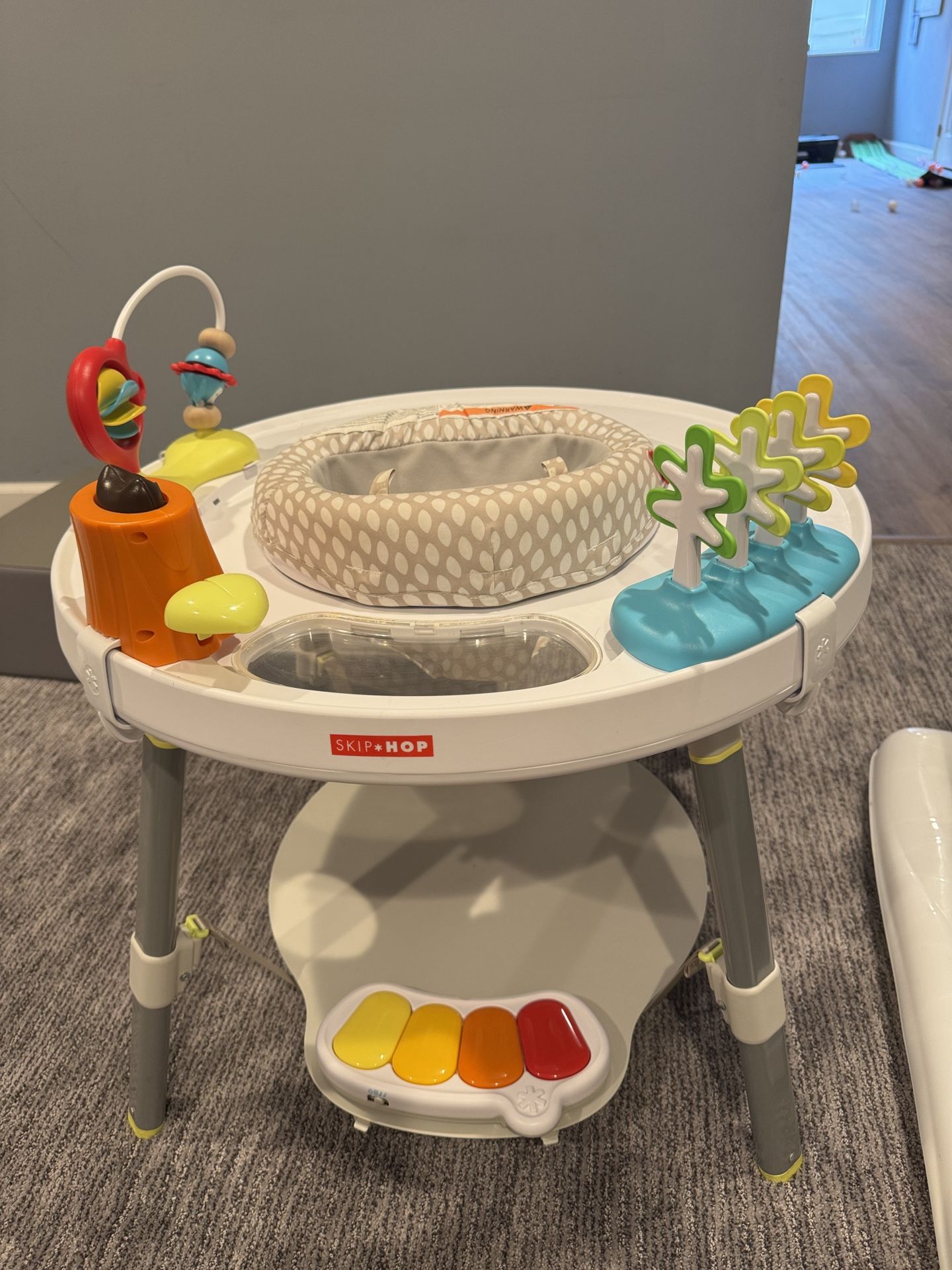 Skip Hop Activity Center