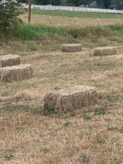 Hay $6 first cut