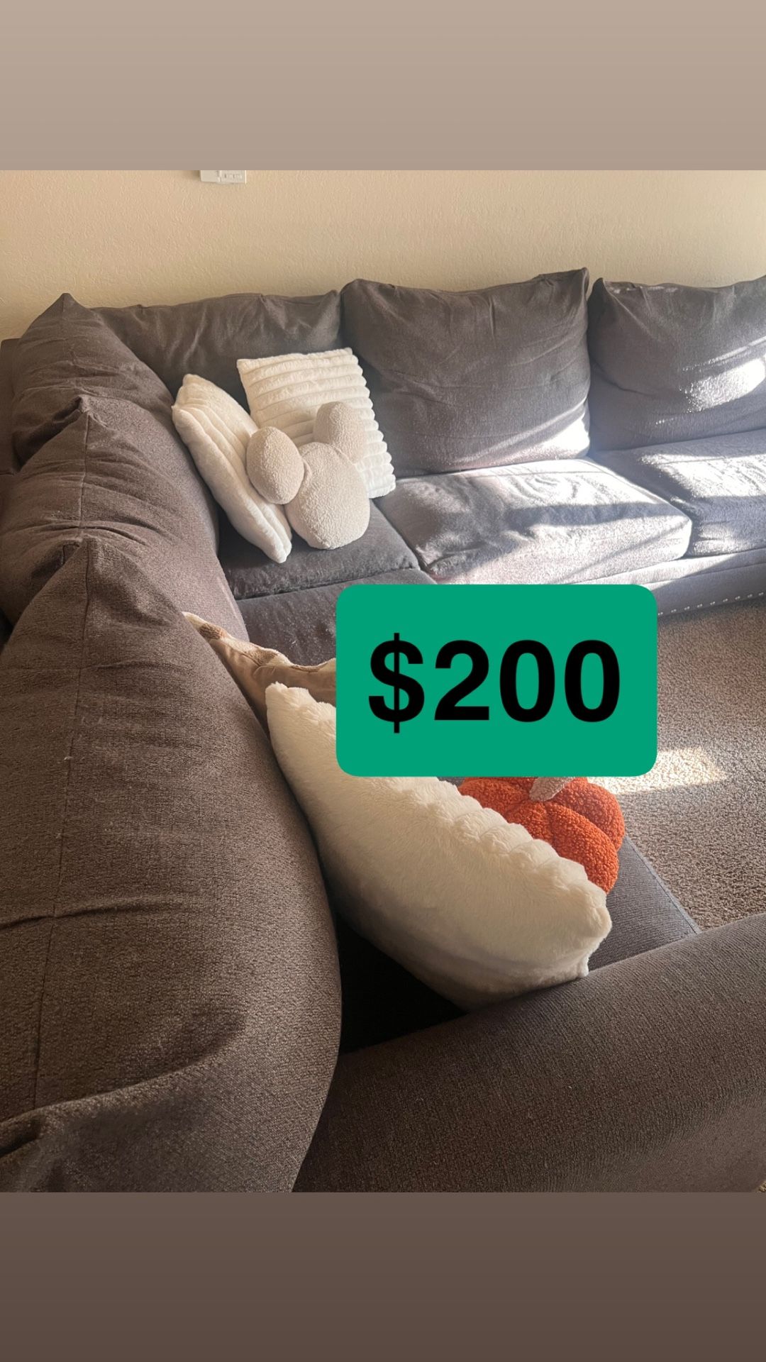 $200 Sectional Couch 