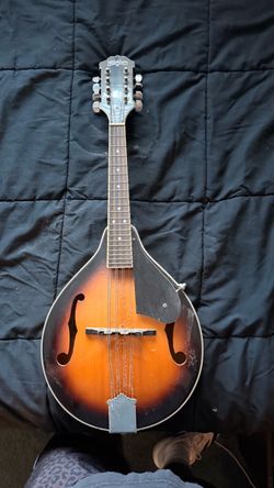 Washburn Mandolin