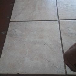 In Need Of Free House Hold Items 