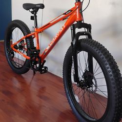 Bike New 24x3 Size Tires For Teens Or Adults