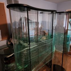 6 Foot Tall Glass Cabinet With 3 Shelves