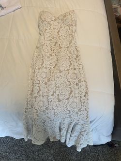 Windsor And Fashion Nova Women Clothing