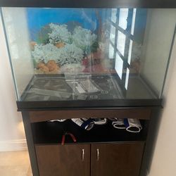 fish tank
